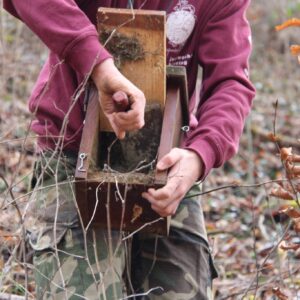 Nistkästen reinigen