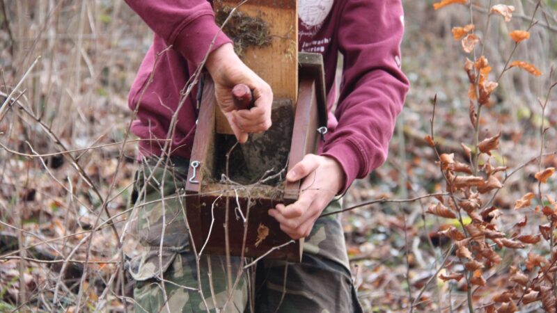 Nistkästen reinigen