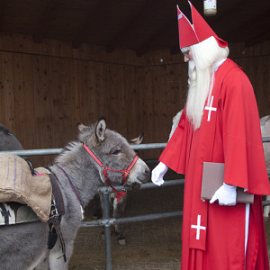 Komm, Ferdi, wir besuchen die Kinder!