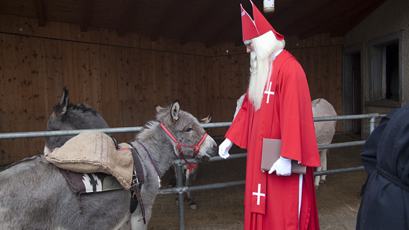 Komm, Ferdi, wir besuchen die Kinder!