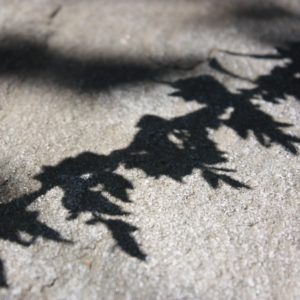 Ein selbstverständlicher Brauch